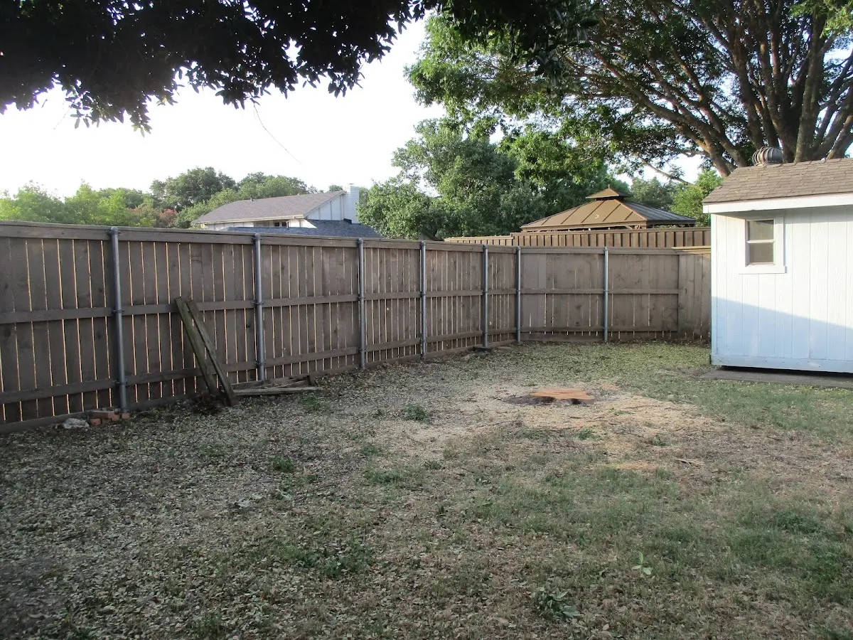 Cleared yard after professional tree removal in Maplecrest